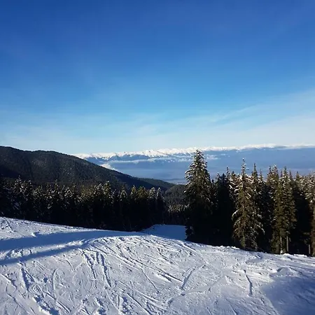 Bluebrick Ski 아파트 반스코