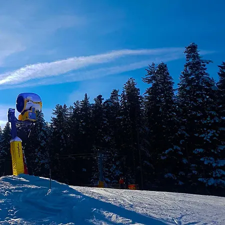 Bluebrick Ski 아파트 반스코